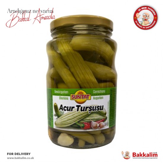 Suntat Acur Gherkin Pickles 660 Ml