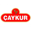 ÇAYKUR