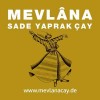 MEVLANA