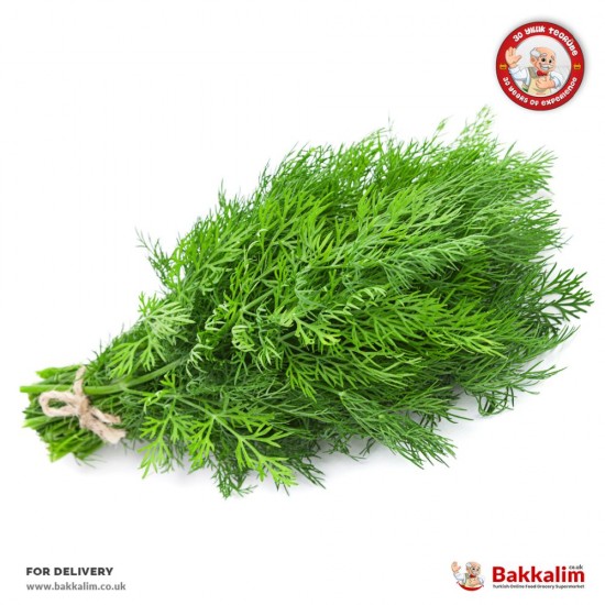 Daily Fresh 1 Bunch Dill Krebs - TURKISH ONLINE MARKET UK - £2.39