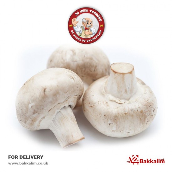 Fresh 500 Gr Mushroom - TURKISH ONLINE MARKET UK - £3.99
