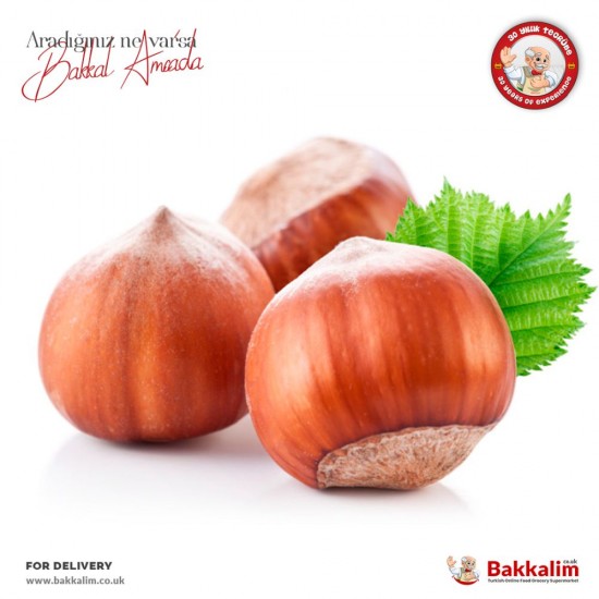 Fresh 500 G Hazelnut - TURKISH ONLINE MARKET UK - £8.99