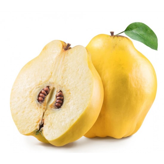 Quince 1 Piece - TURKISH ONLINE MARKET UK - £2.69