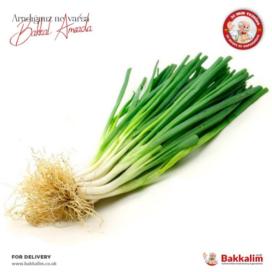 Spring Onions 1 Batch - TURKISH ONLINE MARKET UK - £1.89